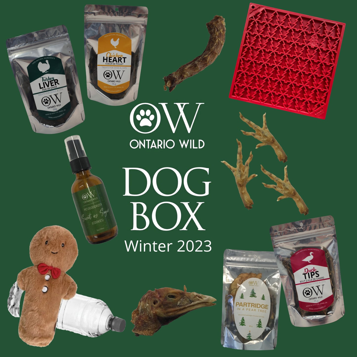 PAST OW DOG BOXES - Large