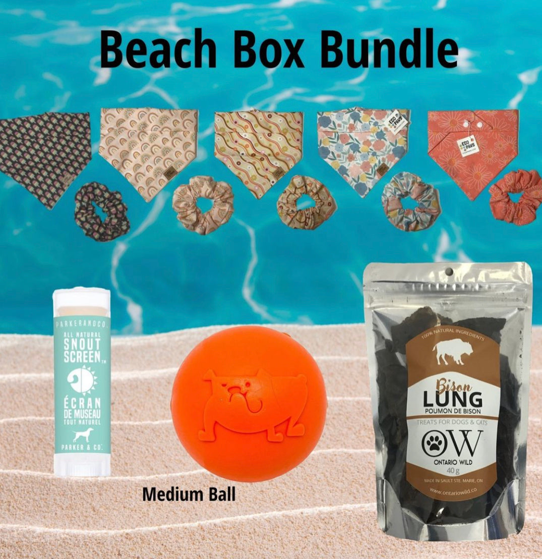 A BEACH Bundle