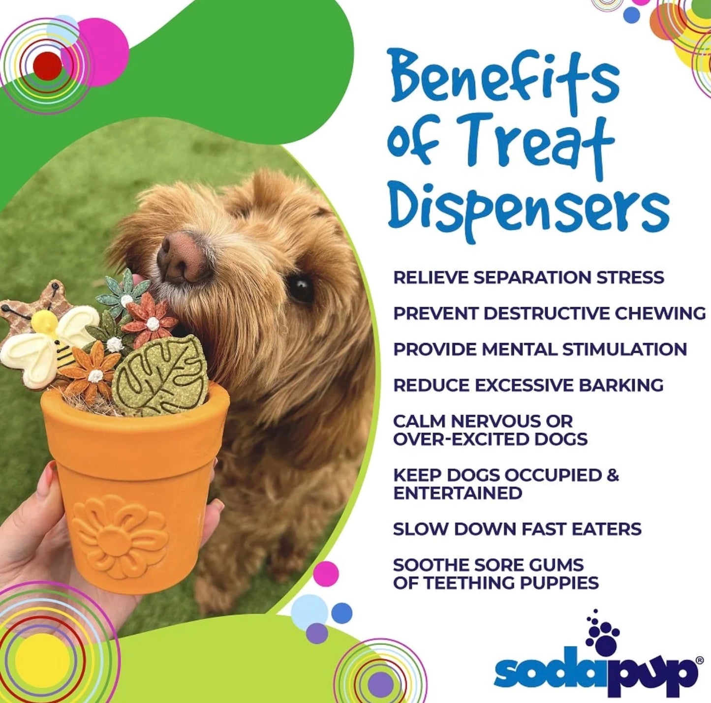 SodaPup - Flower Pot
