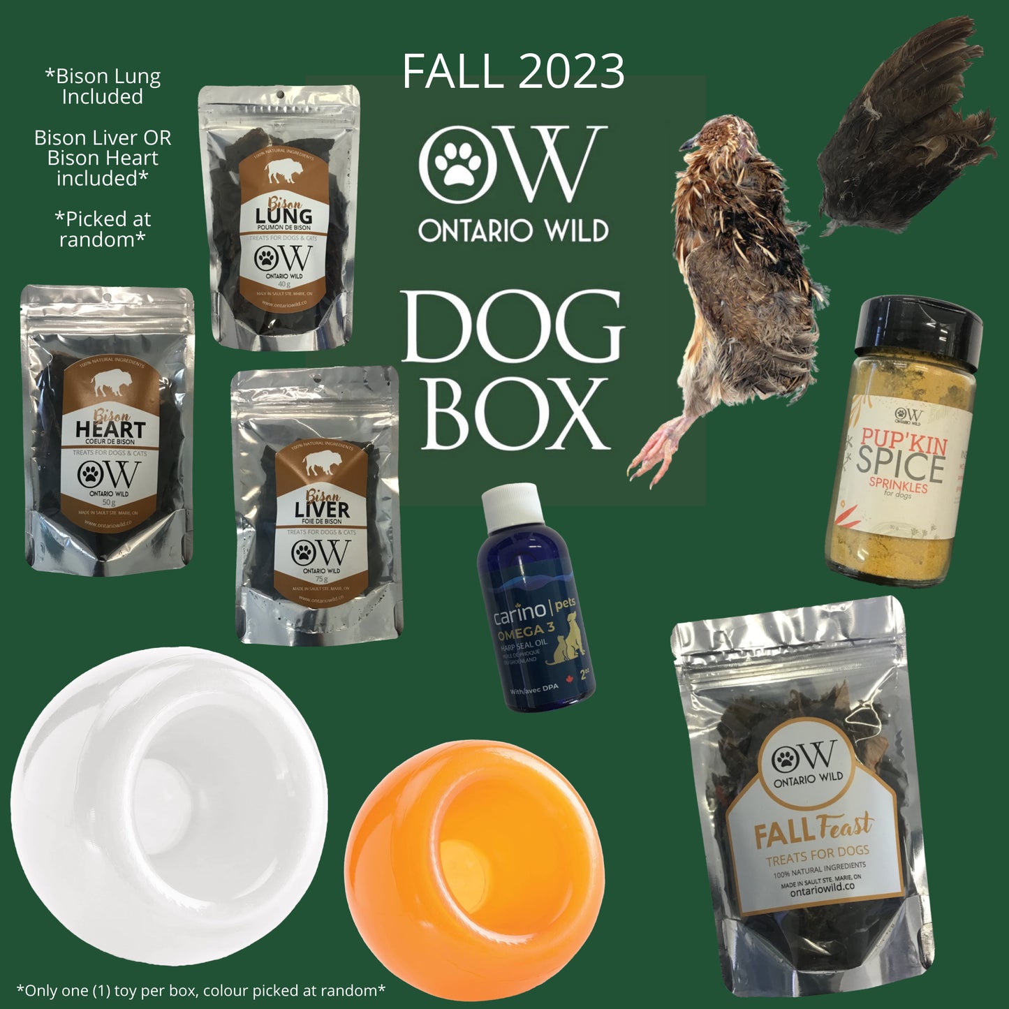 PAST OW DOG BOXES - Large