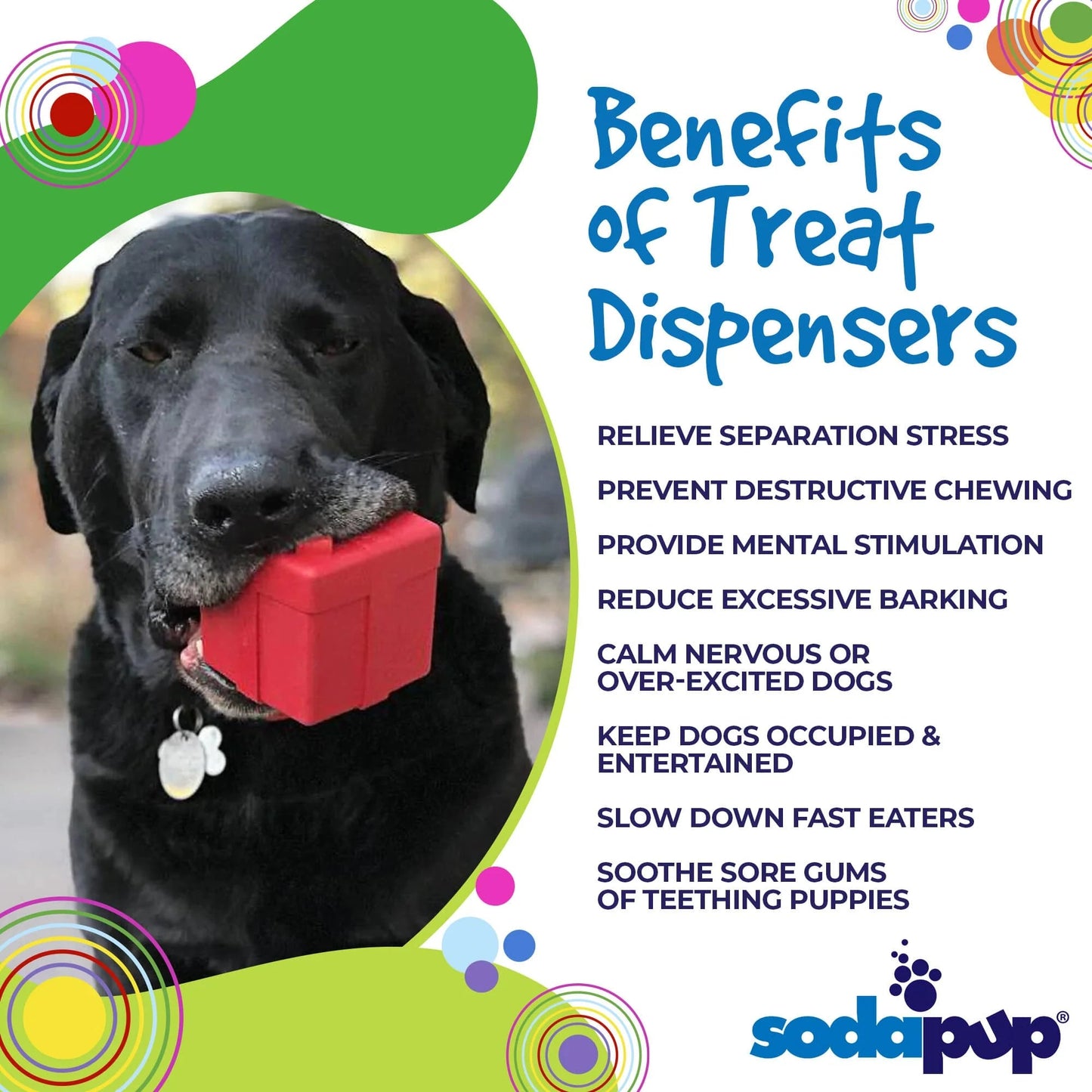 SodaPup - Gift Box - Large