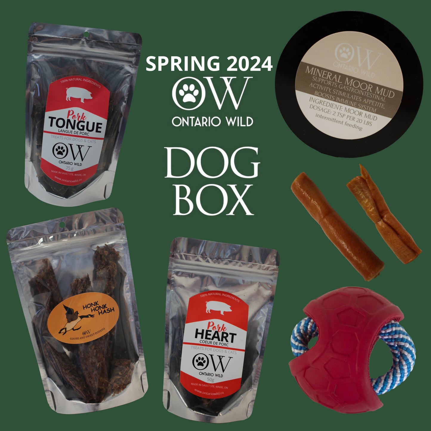 PAST OW DOG BOXES - Large