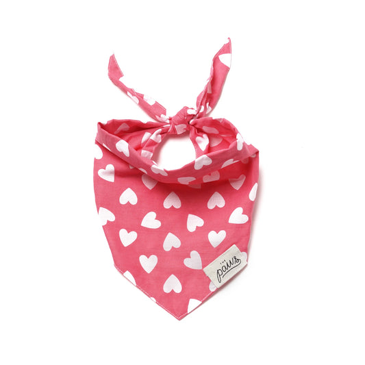 The Paws - Dog Bandana - Whole Lotta Love