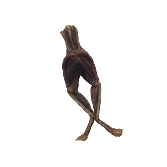 Aquatic - Frog Leg - Ontario Wild Pet Shop