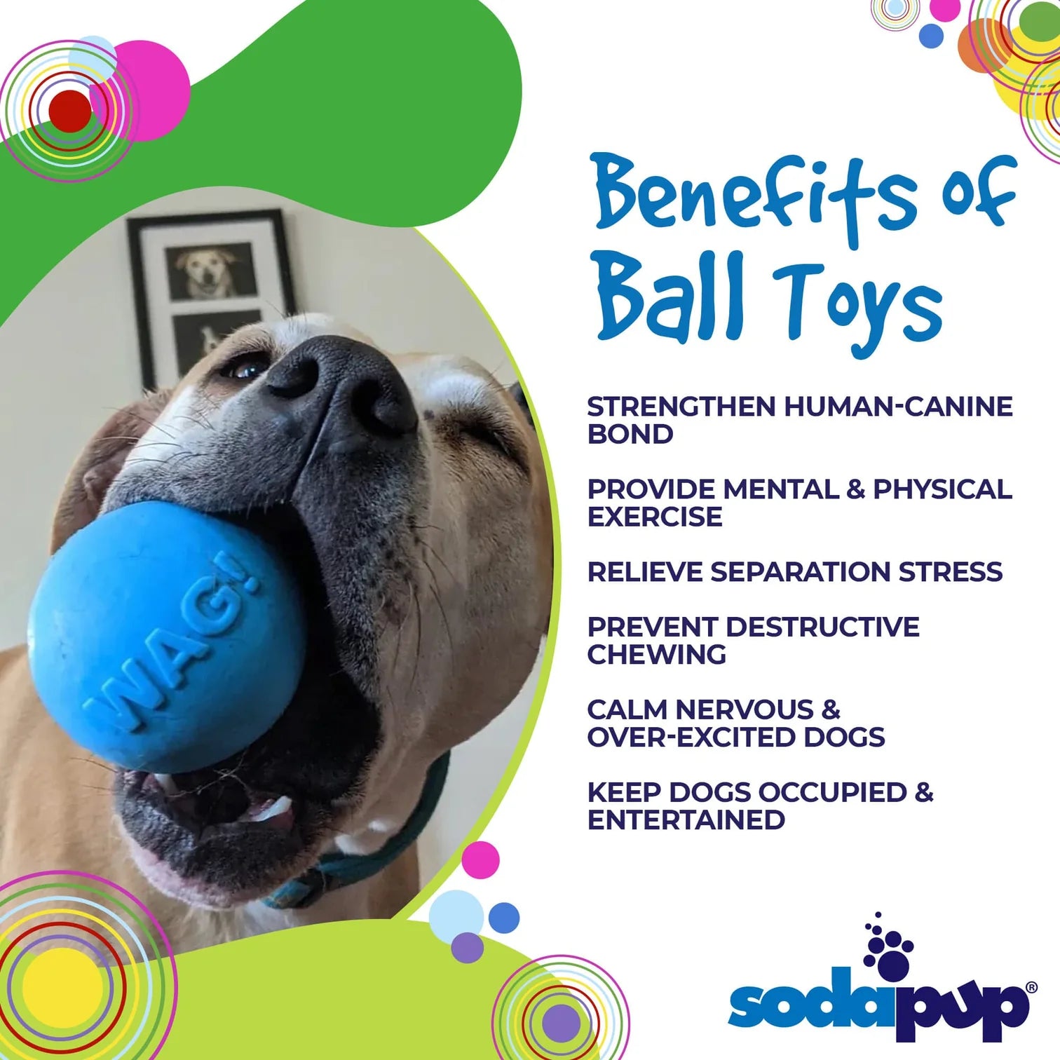 SP - Ball - Blue - Large (floating) - Ontario Wild Pet Shop