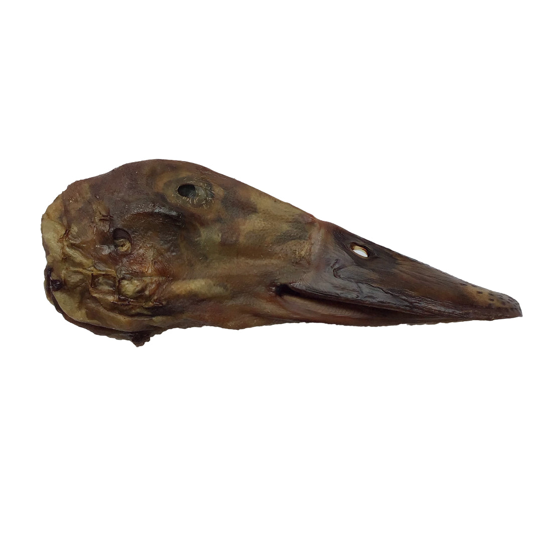 Duck Head