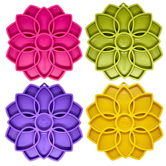 SodaPup - Mandala Enrichment Tray - Ontario Wild Pet Shop