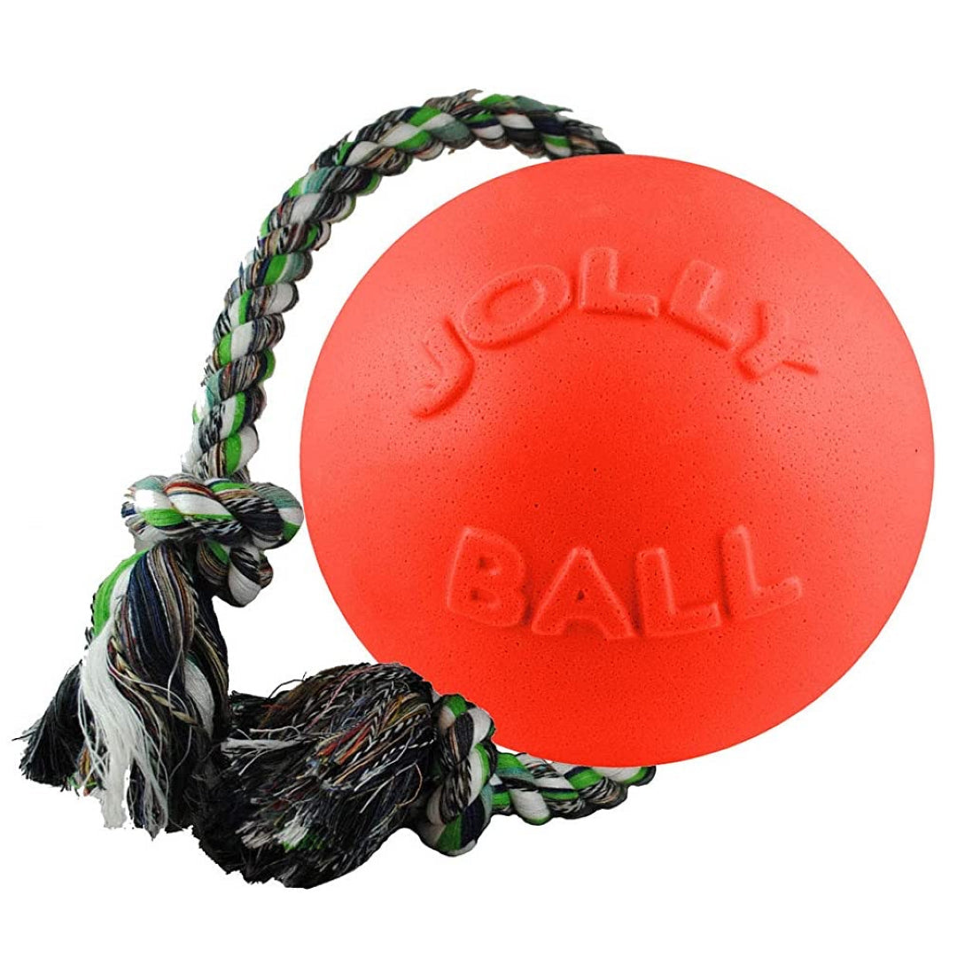 Jolly Pet - Romp & Roll - Ontario Wild Pet Shop