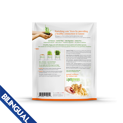 Pet Greens - Self Grow Kit