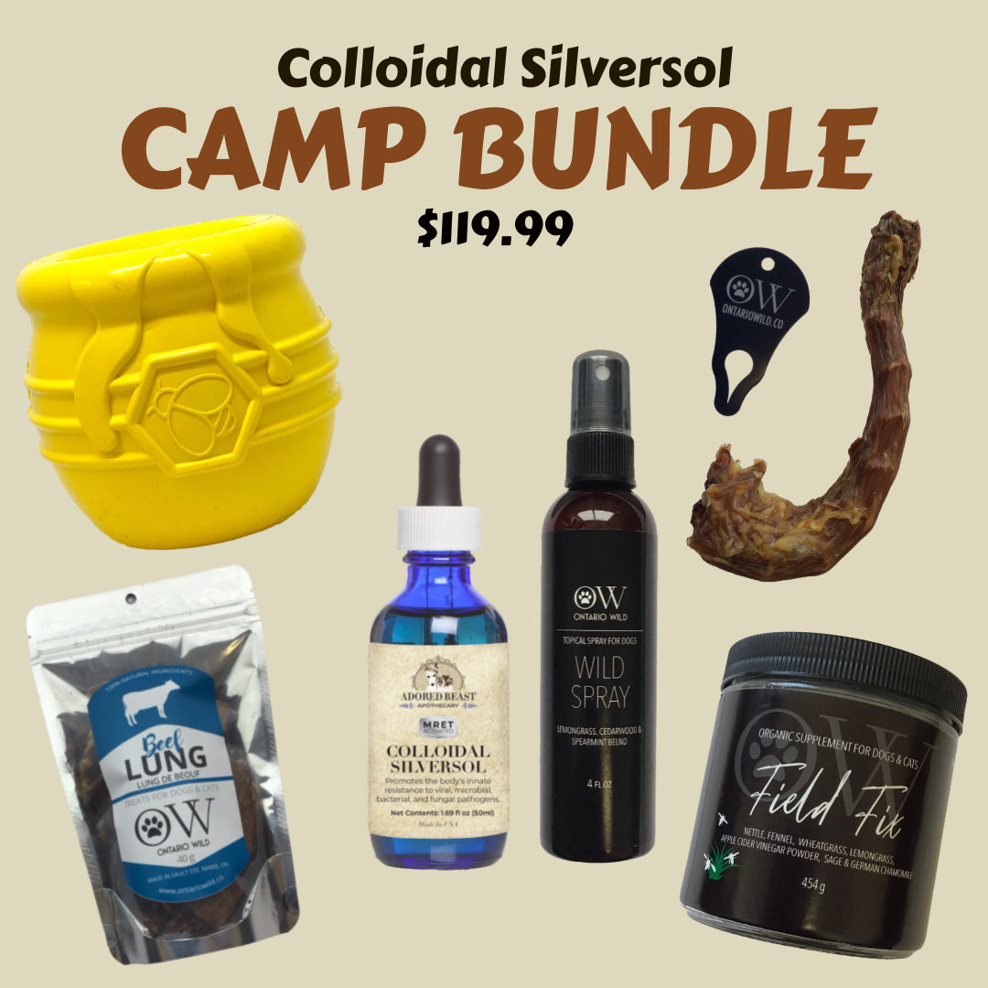 A CAMP Bundle