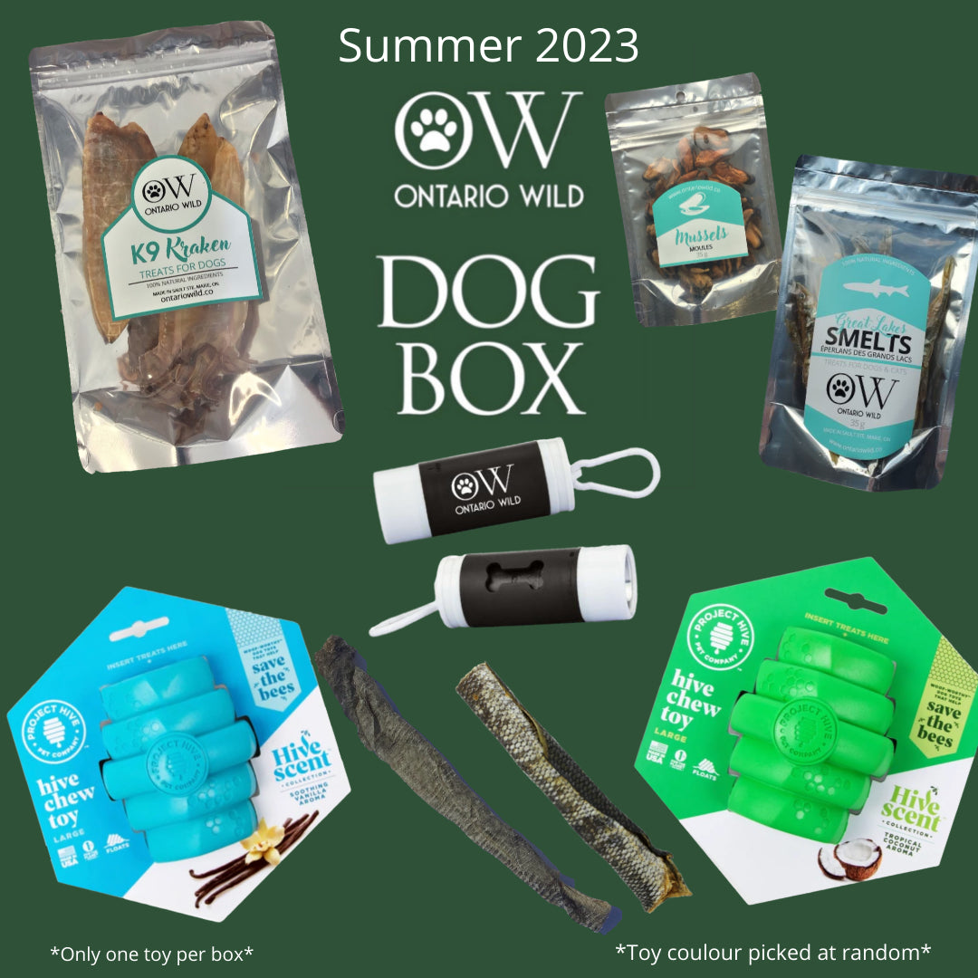 PAST OW DOG BOXES - Large