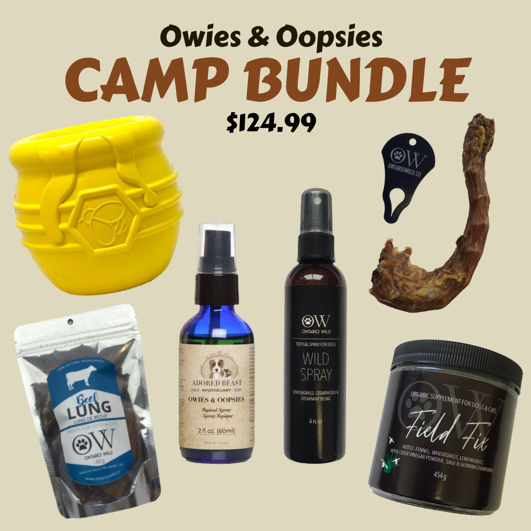 A CAMP Bundle