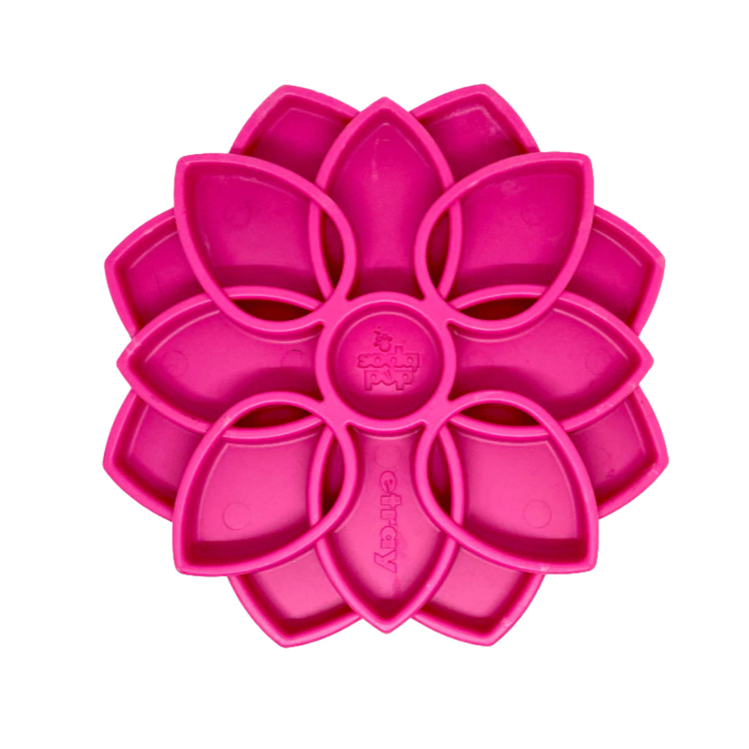 SodaPup - Mandala Enrichment Tray - Ontario Wild Pet Shop