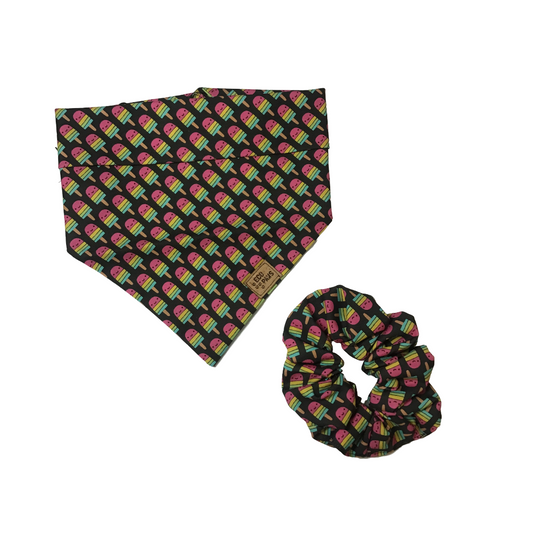 Eco 4 Paws - Smiley Pupsicles Set