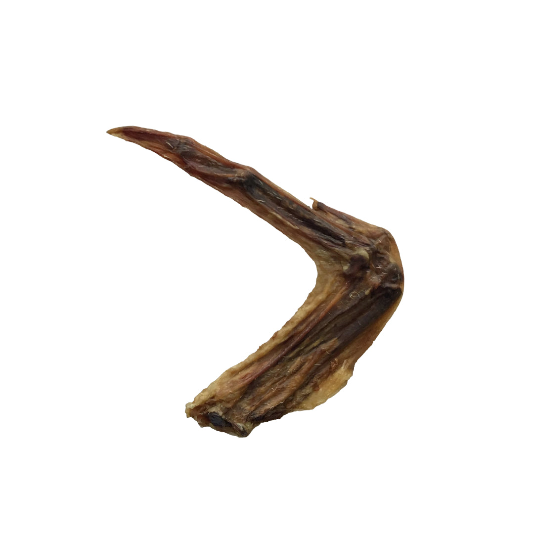 Duck Wing - Ontario Wild Pet Shop