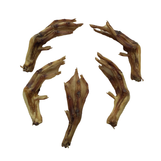 Duck Feet - Ontario Wild Pet Shop