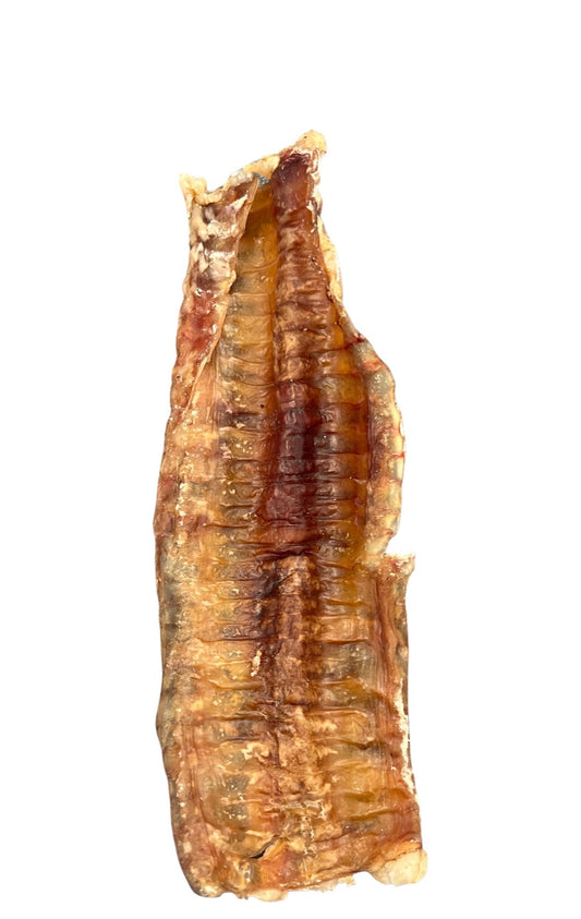 Lamb Trachea - Ontario Wild Pet Shop