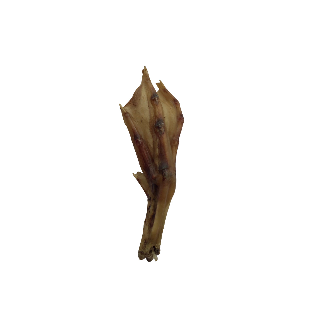 Duck Feet - Ontario Wild Pet Shop