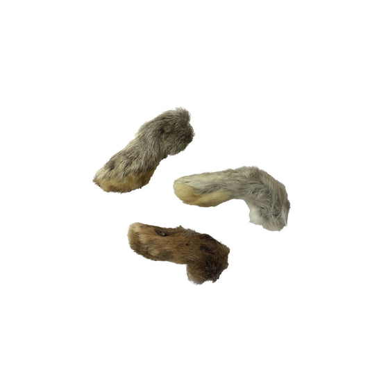 Rabbit Paw - Front - Ontario Wild Pet Shop