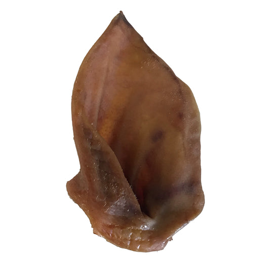 Pig Ear - Ontario Wild Pet Shop