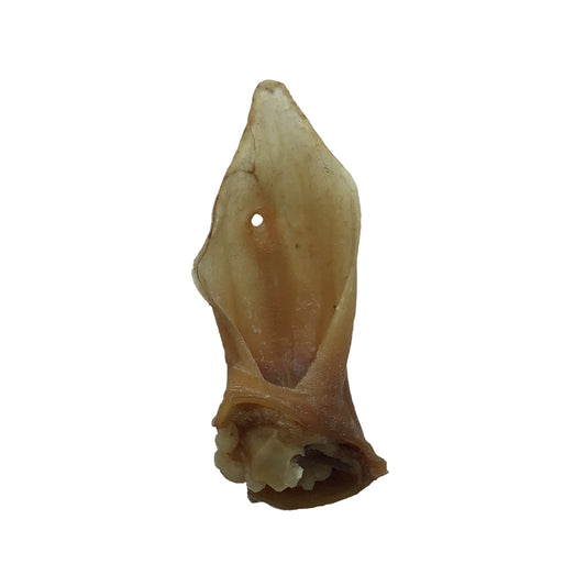 Lamb Ears - Ontario Wild Pet Shop