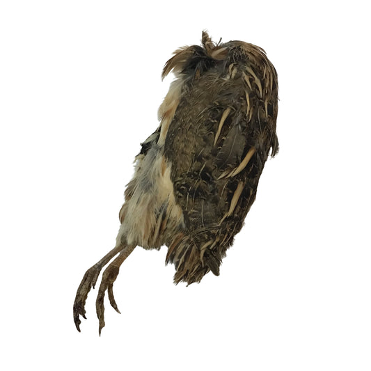 Quail - whole