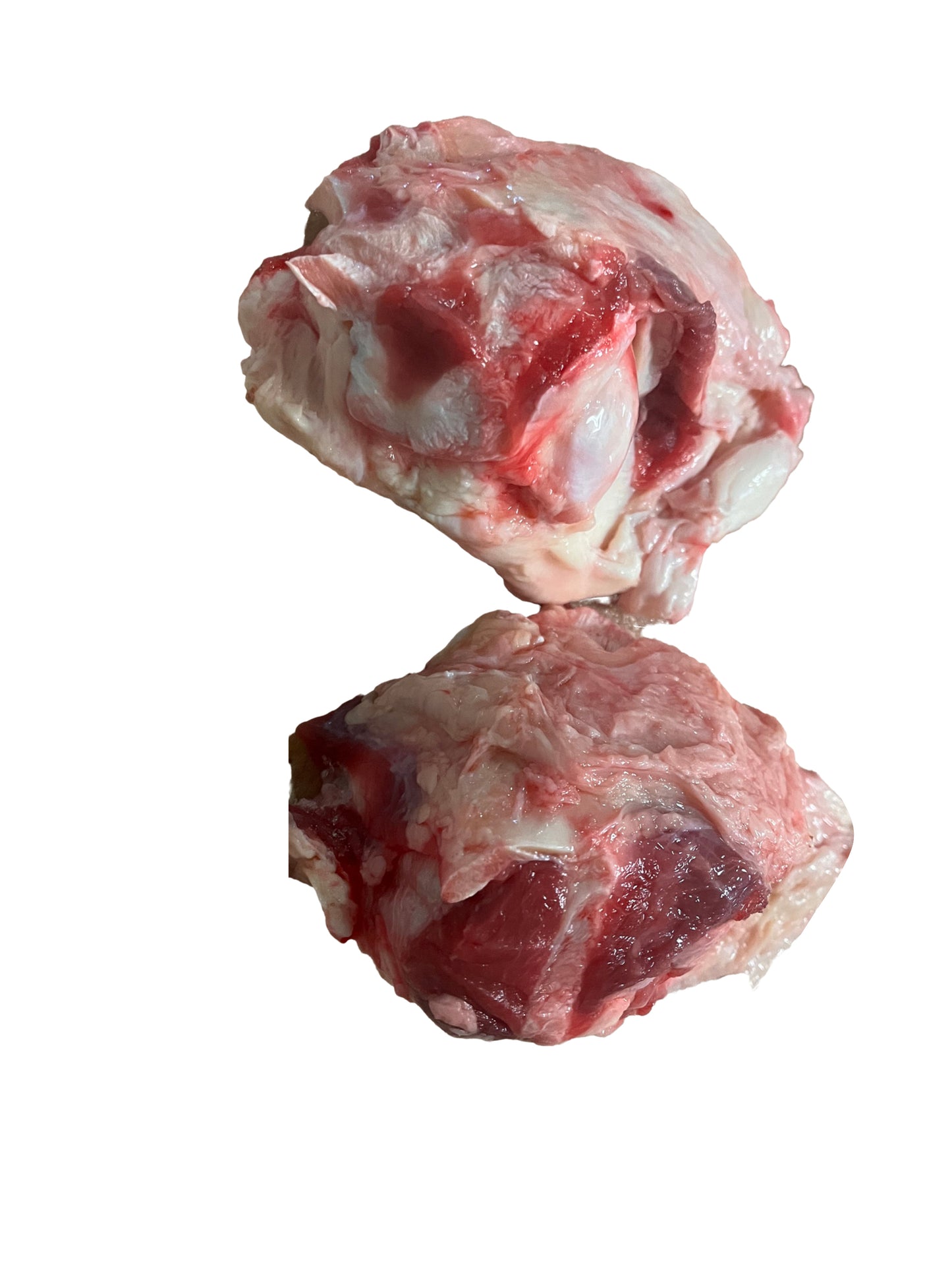 Beef Knee Caps - 2 pk - Ontario Wild Pet Shop