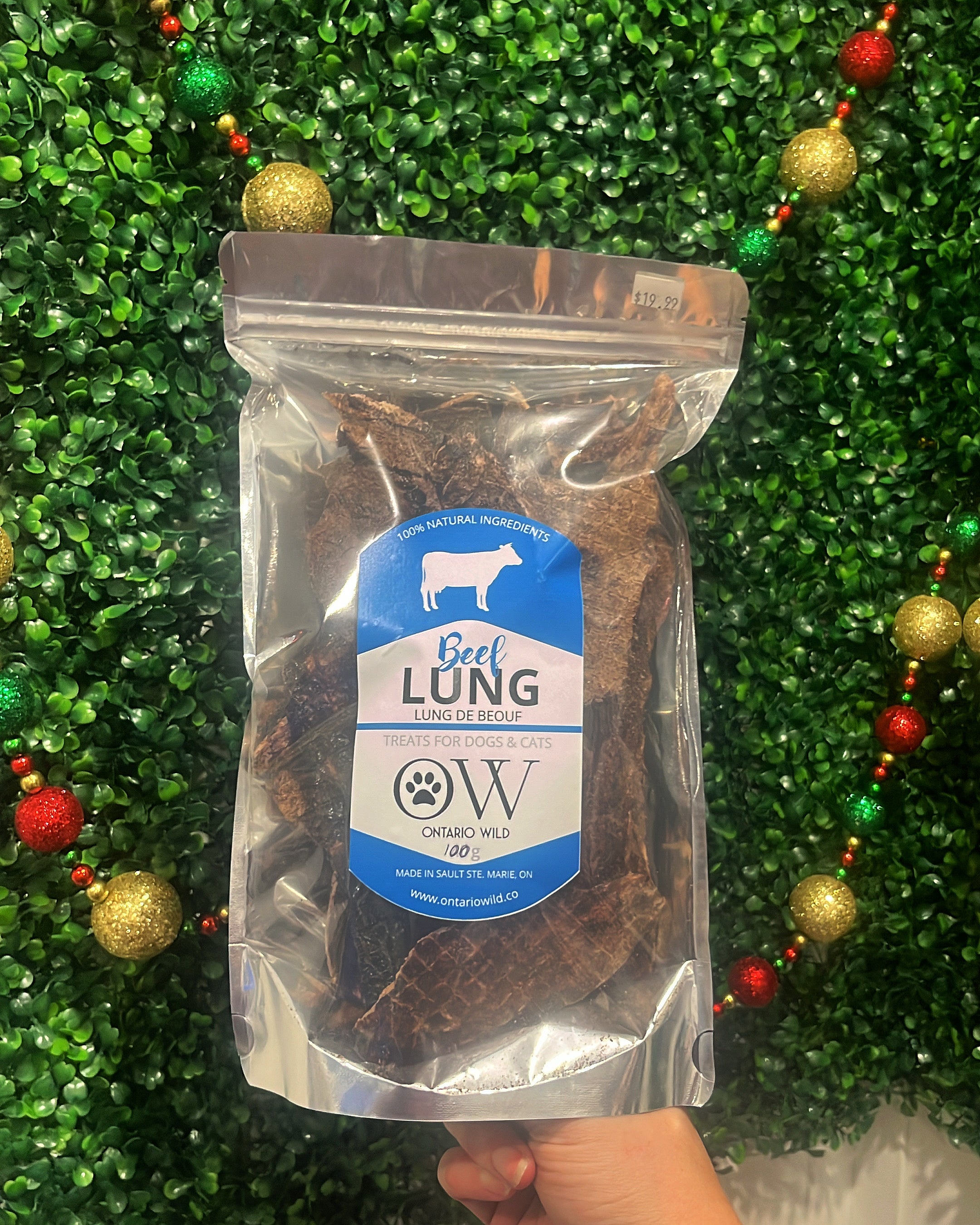 Beef Lung - 100 g - Ontario Wild Pet Shop