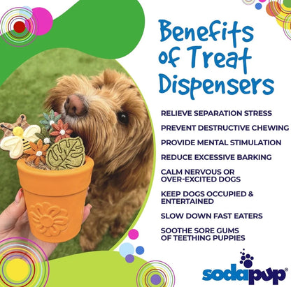 SodaPup - Flower Pot