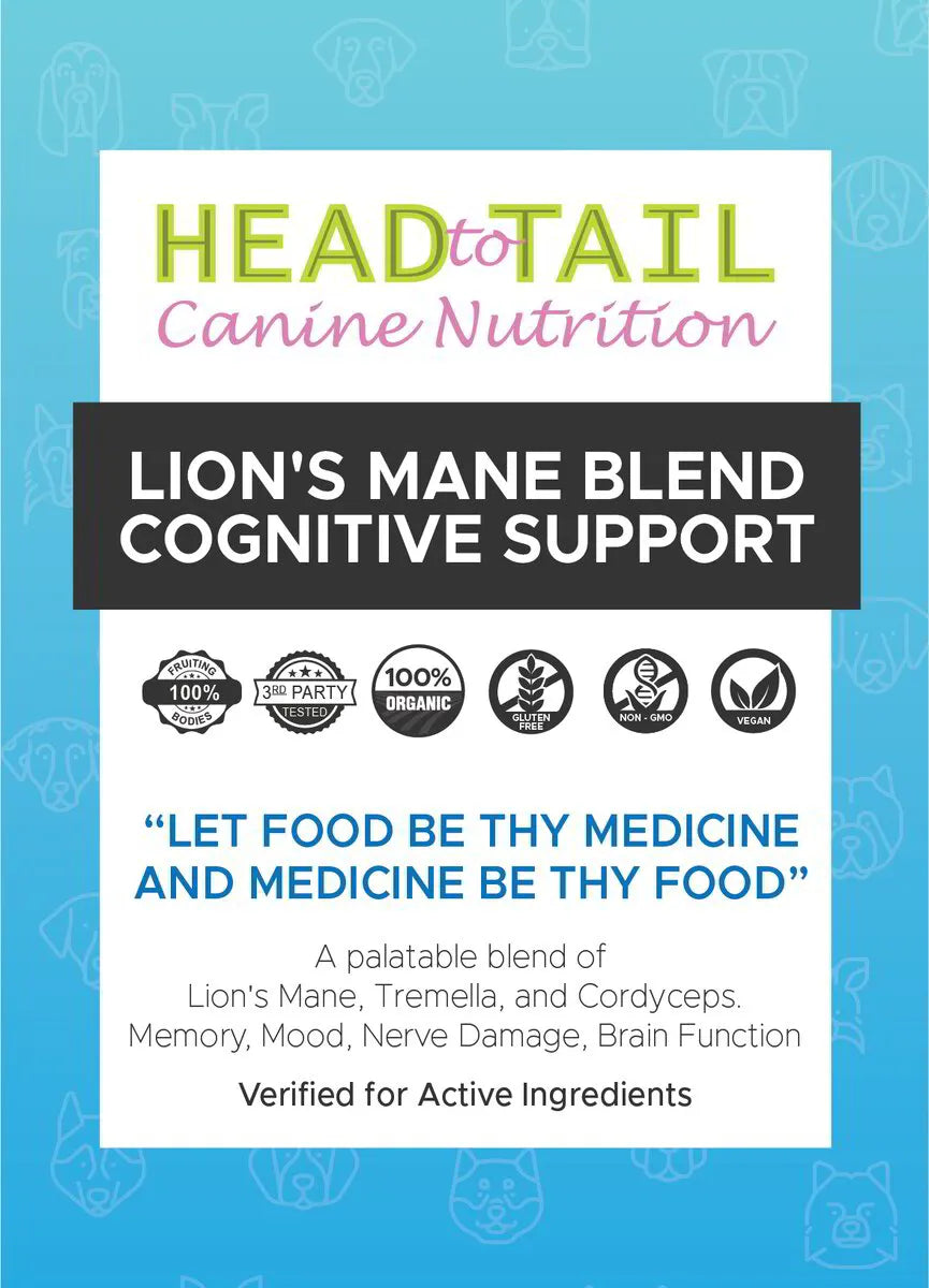 Head to Tail - Lion's Mane Blend - Cognitive Support