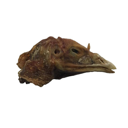 Turkey Head