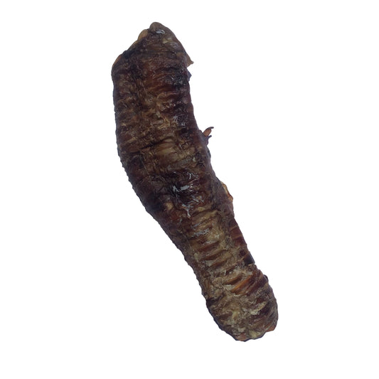 Bison Trachea - LRG
