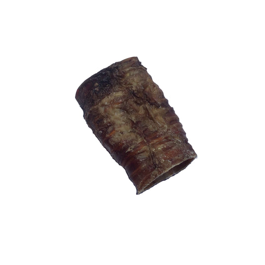 Bison Trachea - SM