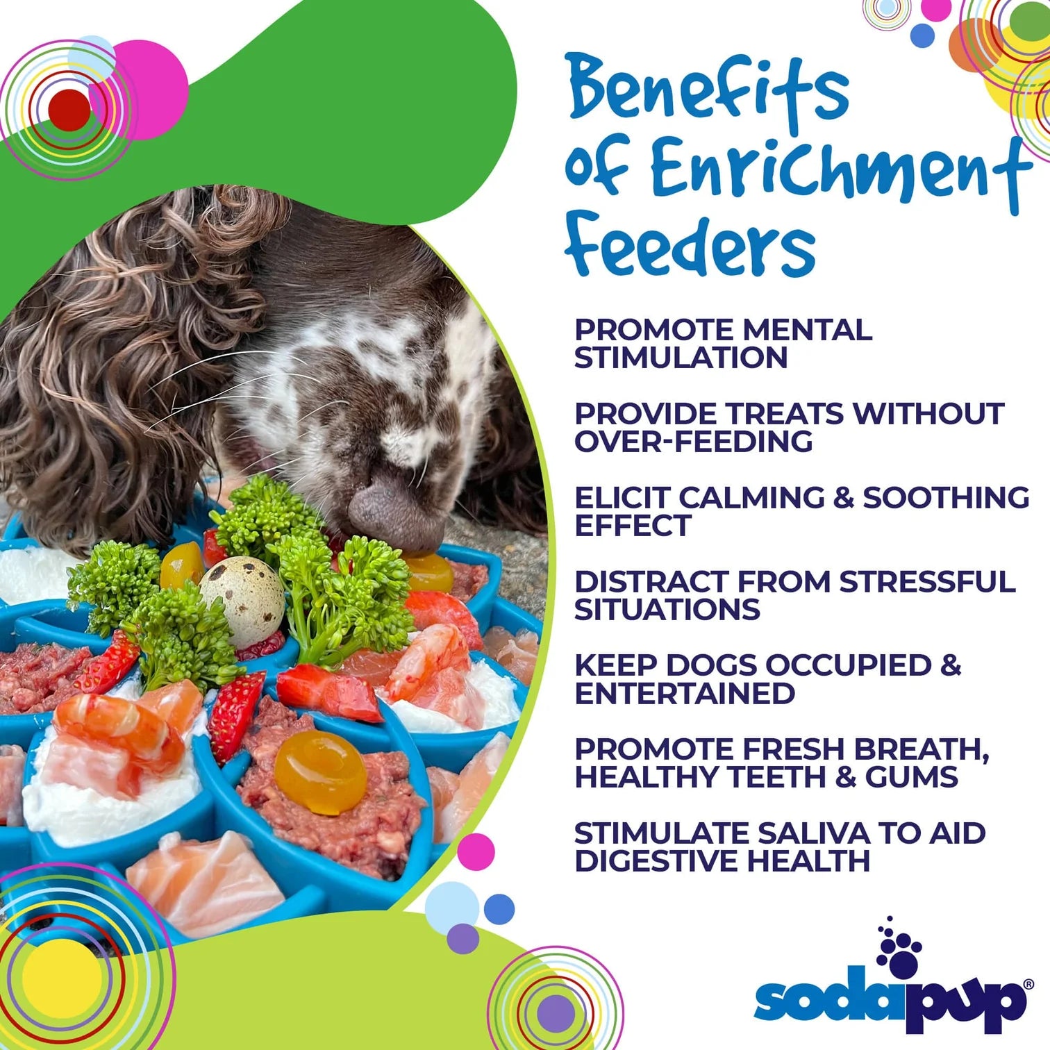 SodaPup - Mandala Enrichment Tray - Ontario Wild Pet Shop
