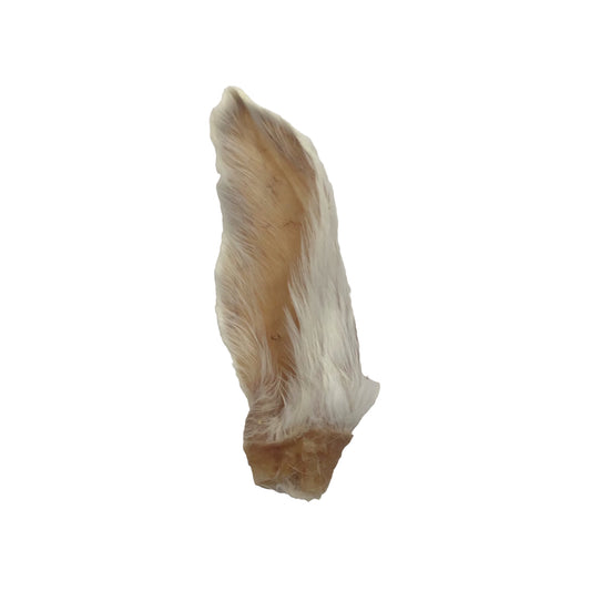 Rabbit Ear - Ontario Wild Pet Shop