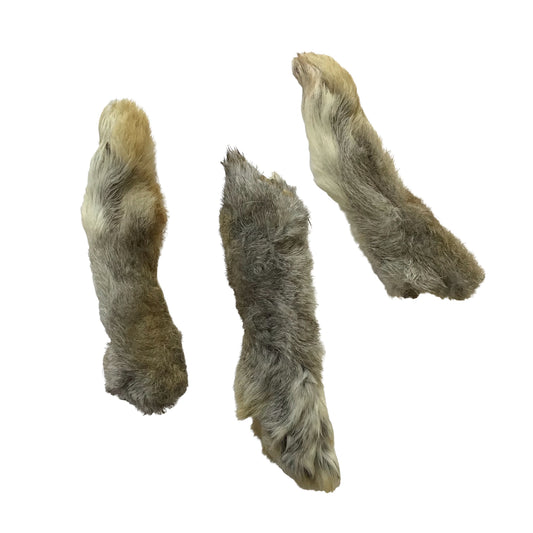 Rabbit Paw - Back - Ontario Wild Pet Shop