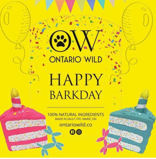 Bark Day Box - Ontario Wild Pet Shop
