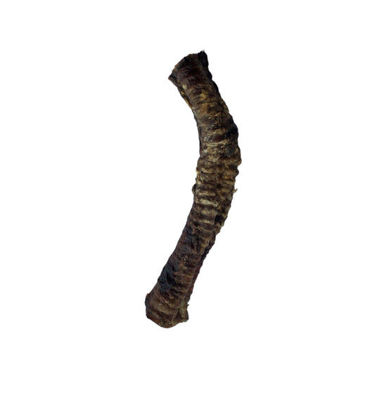 Beef Trachea - LRG - Ontario Wild Pet Shop